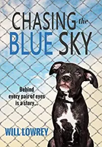 Chasing the Blue Sky – Redaktionelle Rezension – The Book Review Directory